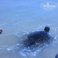 фото из отзыва ID 2716123