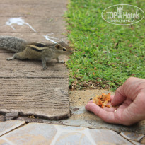 фото из отзыва ID 2716123