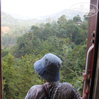 фото из отзыва ID 2716123