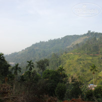 фото из отзыва ID 2716123