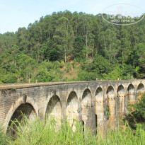 фото из отзыва ID 2716123