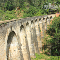 фото из отзыва ID 2716123