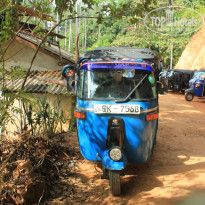 фото из отзыва ID 2716123