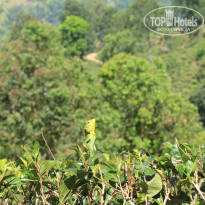 фото из отзыва ID 2716123