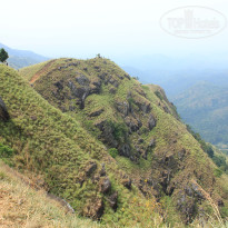 фото из отзыва ID 2716123