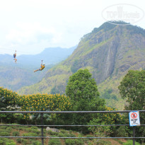 фото из отзыва ID 2716123