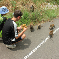 фото из отзыва ID 2716123