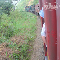 фото из отзыва ID 2716123