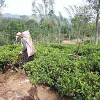 фото из отзыва ID 2716123