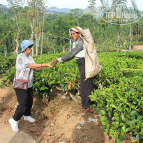 фото из отзыва ID 2716123