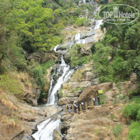 фото из отзыва ID 2716123