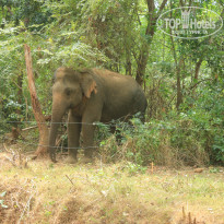 фото из отзыва ID 2716123