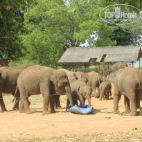 фото из отзыва ID 2716123