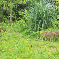 фото из отзыва ID 2716123