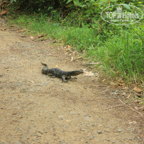 фото из отзыва ID 2716123