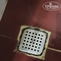 фото из отзыва ID 2717050