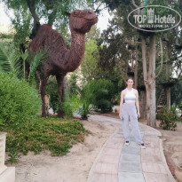 фото из отзыва ID 2717085