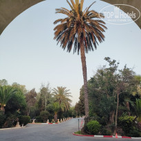 фото из отзыва ID 2717085