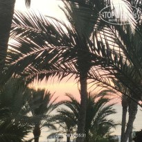 фото из отзыва ID 2717085