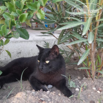 фото из отзыва ID 2717089