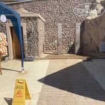 фото из отзыва ID 2717048