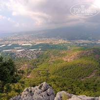 фото из отзыва ID 2716896