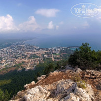 фото из отзыва ID 2716896