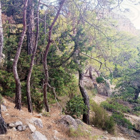 фото из отзыва ID 2716896