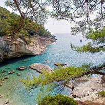 фото из отзыва ID 2716896