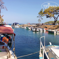 фото из отзыва ID 2716896