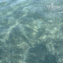 фото из отзыва ID 2717109