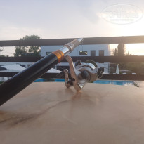 фото из отзыва ID 2717141