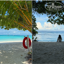 фото из отзыва ID 2717155