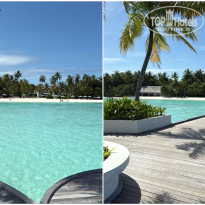 фото из отзыва ID 2717155