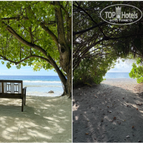 фото из отзыва ID 2717155