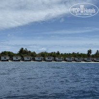 фото из отзыва ID 2717155