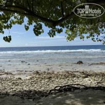 фото из отзыва ID 2717155