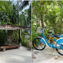 фото из отзыва ID 2717155