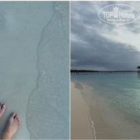 фото из отзыва ID 2717155