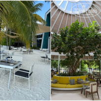 фото из отзыва ID 2717155