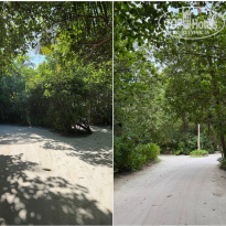 фото из отзыва ID 2717155