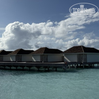 фото из отзыва ID 2717155