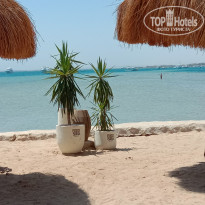 фото из отзыва ID 2717153