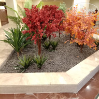 фото из отзыва ID 2717153