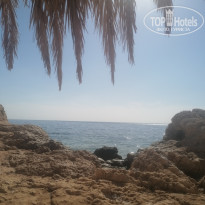 фото из отзыва ID 2717237