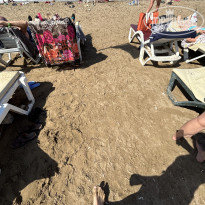 фото из отзыва ID 2717239