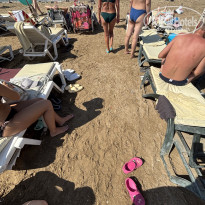 фото из отзыва ID 2717239