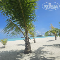 фото из отзыва ID 2717248