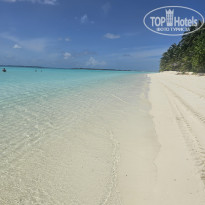 фото из отзыва ID 2717248