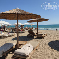 фото из отзыва ID 2717247